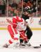 Oct 29 - Red Wings vs Anaheim Ducks