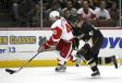 Oct 29 - Red Wings vs Anaheim Ducks